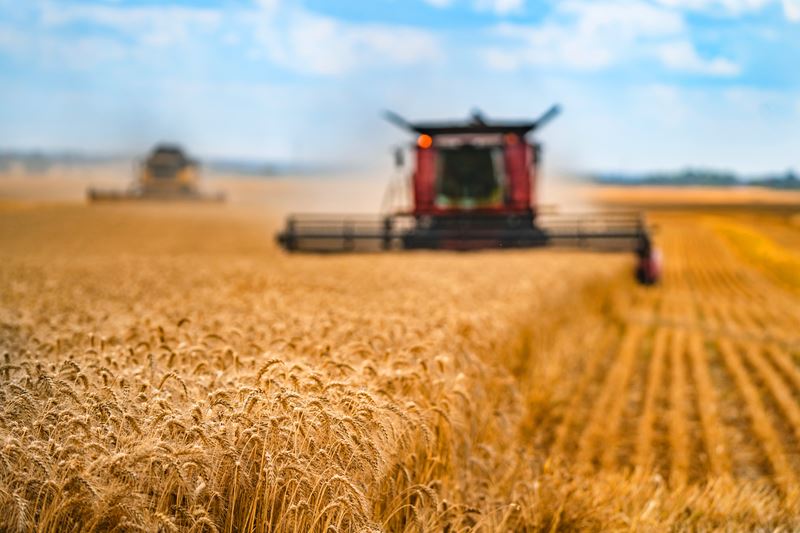 Combine plowing field